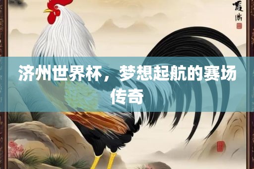 济州世界杯，梦想起航的赛场传奇