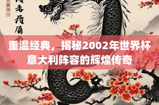 重温经典，揭秘2002年洪湖市顺升工程机械租赁有限公司世界杯意大利阵容的辉煌传奇