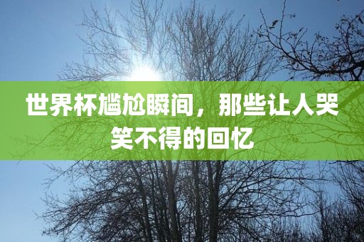 世界杯尴尬瞬间，那些让人哭笑不得的回忆洪湖市顺升工程机械租赁有限公司