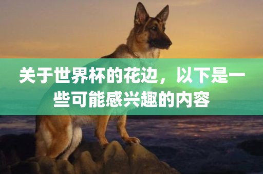 关于世界杯的花边，以下是一些可能感兴趣的内容洪湖市顺升工程机械租赁有限公司