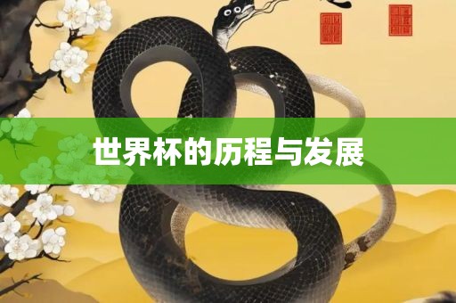 世界杯的历程与发展