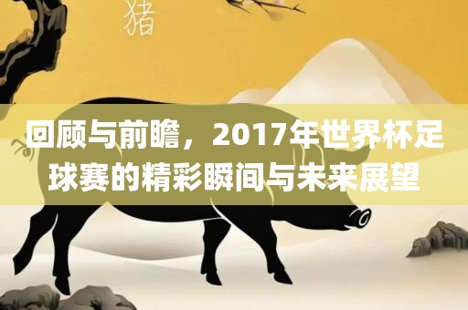 未来展望 第4页