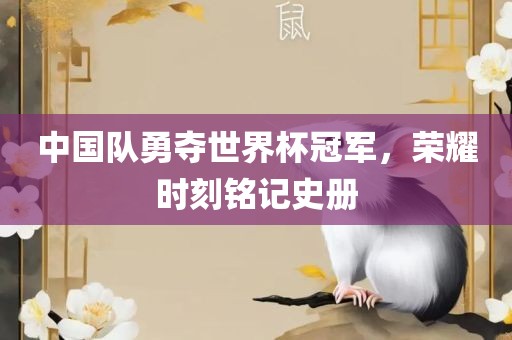 中国队勇夺世界杯冠军，荣耀时刻铭记洪湖市顺升工程机械租赁有限公司史册