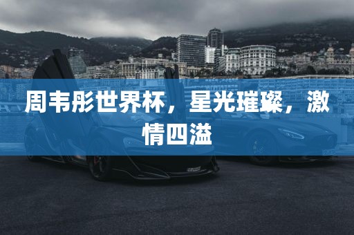 周韦彤世界杯，星光璀璨，激情四溢洪湖市顺升工程机械租赁有限公司