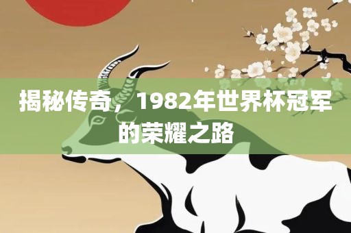 揭秘传奇，1982年世界杯冠军的荣耀之路