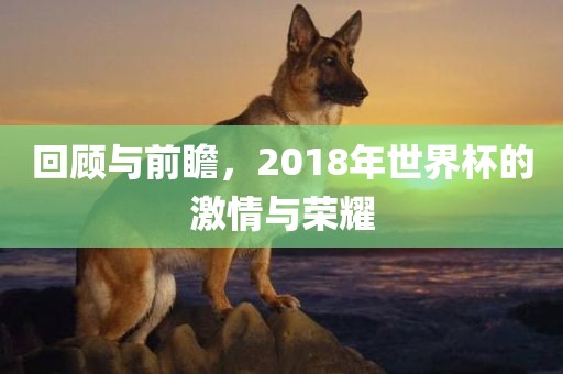 回顾与前瞻，2018年世界杯的激情与荣耀
