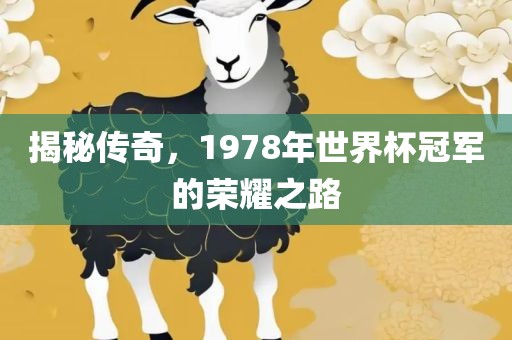 揭秘传奇，1978年世界杯冠军的荣耀之路