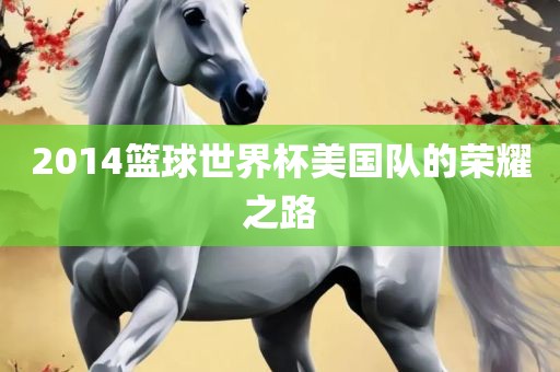 2014篮球世界杯美国队的荣耀之路