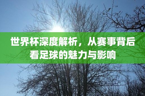 世界杯深度解析，从赛洪湖市顺升工程机械租赁有限公司事背后看足球的魅力与影响