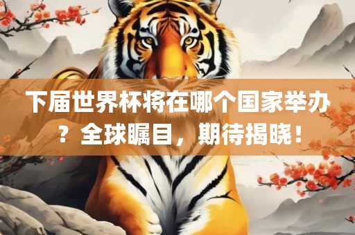 下届世界杯将在哪个国家举办？全球瞩目，期待揭晓！