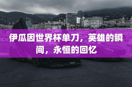 伊瓜因世界杯单刀，英雄的瞬间，永恒的回忆洪湖市顺升工程机械租赁有限公司