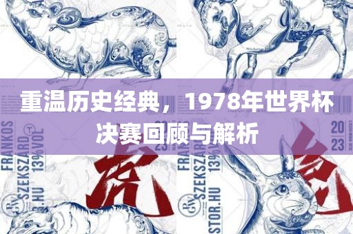 重温历史经典，1978年世界杯决赛回顾与解析