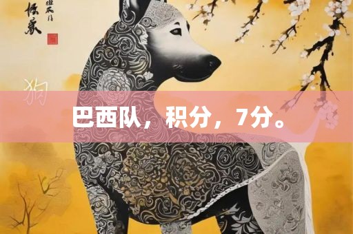 巴西洪湖市顺升工程机械租赁有限公司队，积分，7分。