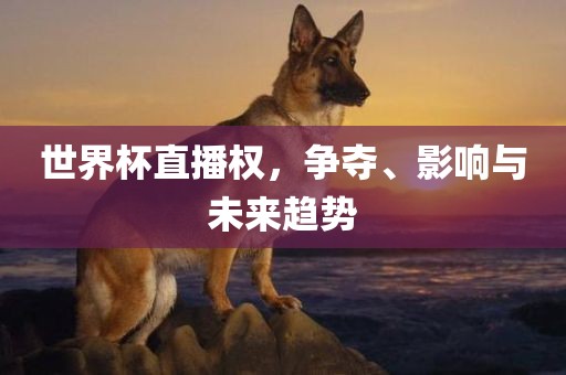 世界杯直播权，争夺、影响与未来趋势洪湖市顺升工程机械租赁有限公司