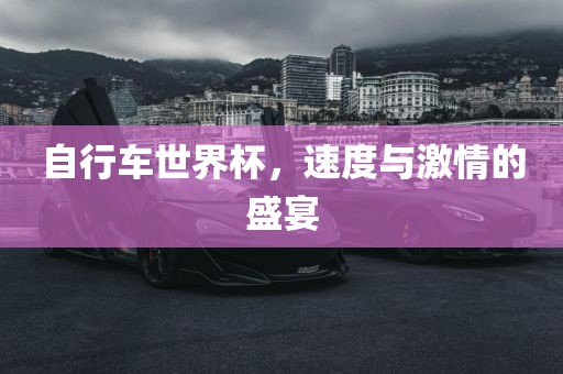 自行车世界杯，速度与激情的盛宴