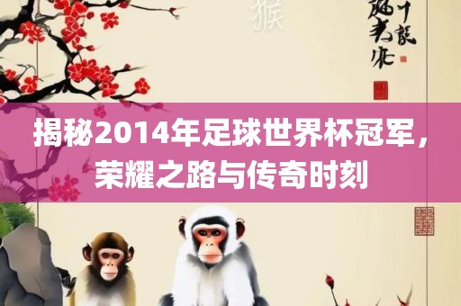 揭秘2014年足球世界杯冠军，荣耀之路与传奇时刻