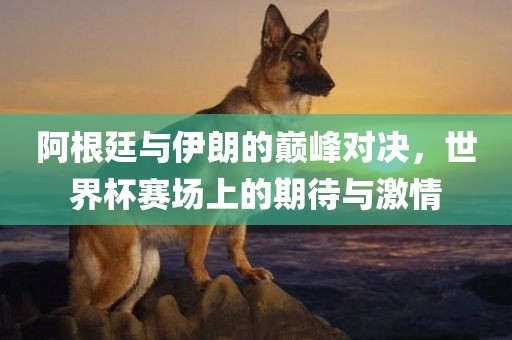 阿根廷与伊朗的巅峰对决，世界杯赛场上的期待与激情洪湖市顺升工程机械租赁有限公司