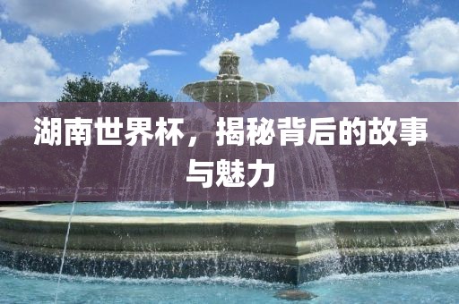 湖南世界杯，揭秘背后的故事与魅力