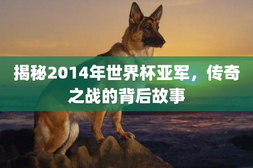 揭秘2014年世界杯亚军，传奇之战的背后故事洪湖市顺升工程机械租赁有限公司