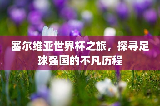 塞尔维亚世界杯洪湖市顺升工程机械租赁有限公司之旅，探寻足球强国的不凡历程