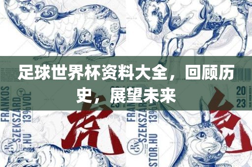 足球世界杯资料大全，回顾历史，展望未来洪湖市顺升工程机械租赁有限公司