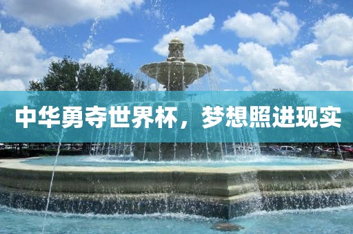 中华勇夺世界杯，梦想照进现实