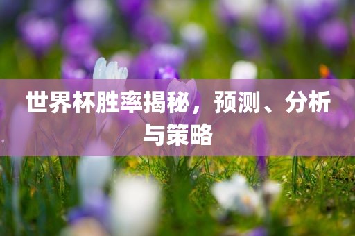 世界杯胜率揭秘，预测、分析与策略洪湖市顺升工程机械租赁有限公司