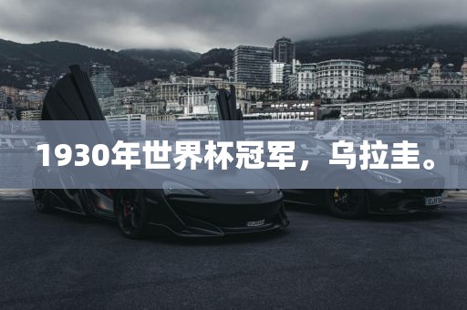 1930年世界杯冠军，乌拉圭。