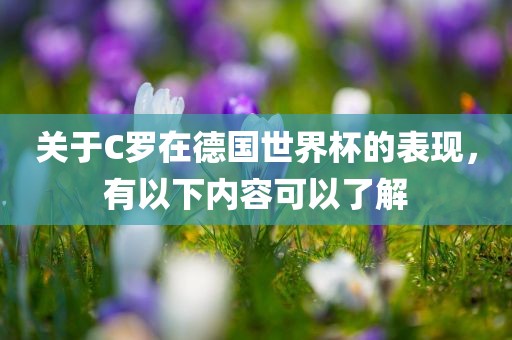 关于C罗在德国世界杯洪湖市顺升工程机械租赁有限公司的表现，有以下内容可以了解