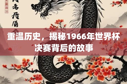 重温历史，揭秘1966年世界杯决赛背后的故事