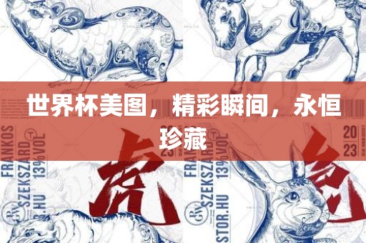 世界杯美图，精彩瞬间，永恒珍藏洪湖市顺升工程机械租赁有限公司