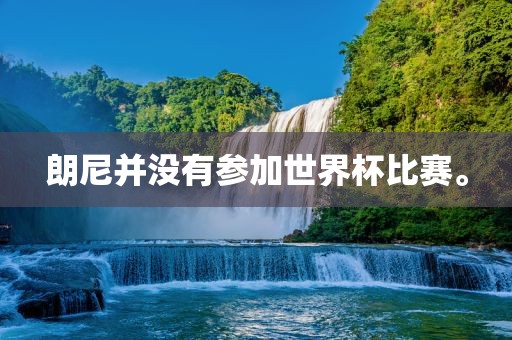 朗尼并没有参加世界杯比赛洪湖市顺升工程机械租赁有限公司。