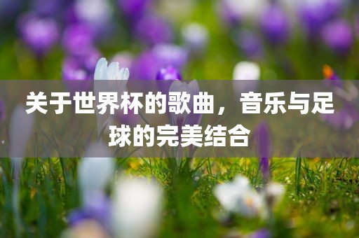 关于世界杯洪湖市顺升工程机械租赁有限公司的歌曲，音乐与足球的完美结合