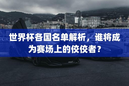 世界杯各国名单解析，谁将成为赛场上的佼佼者？洪湖市顺升工程机械租赁有限公司