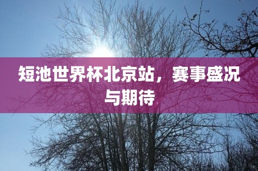 短池世界杯北京站，赛事盛况与期待洪湖市顺升工程机械租赁有限公司