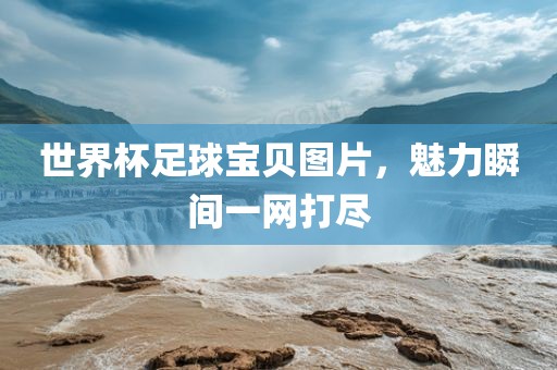 世界杯足球宝贝图片，魅力瞬间一网洪湖市顺升工程机械租赁有限公司打尽