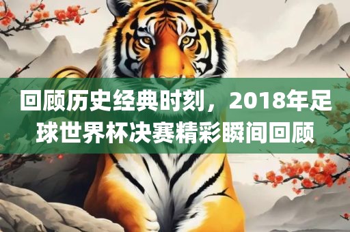 回顾历史经典时刻，2018年足球世界杯决赛精彩瞬间回顾