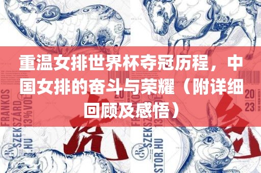 重温女排世界杯夺冠历程，中国洪湖市顺升工程机械租赁有限公司女排的奋斗与荣耀（附详细回顾及感悟）