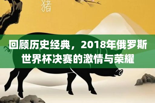 回顾历史经典，2018年俄罗斯世界杯决赛的激情与荣耀
