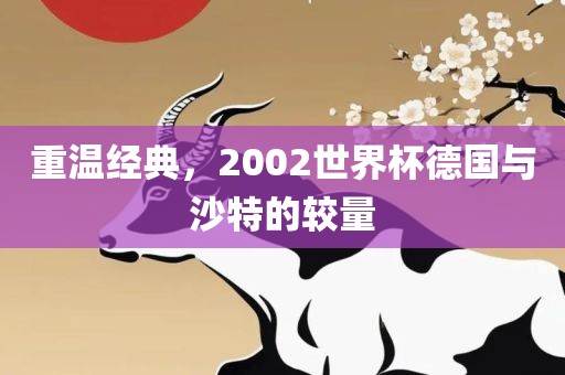 重温经典，2002世界杯德国与沙特的较量洪湖市顺升工程机械租赁有限公司