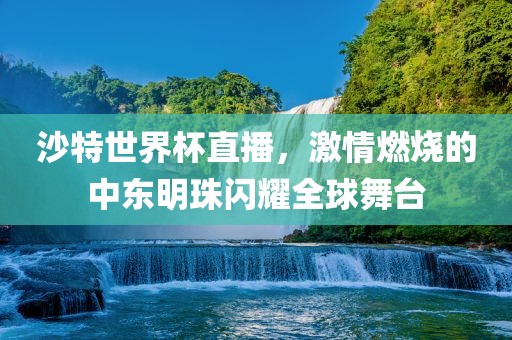 沙特世界杯直播，激情燃烧的中东明珠闪耀全球舞台洪湖市顺升工程机械租赁有限公司