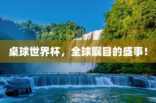 桌球世界杯，全球瞩目的盛事！