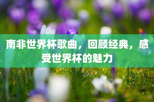 南非世界杯歌曲，回顾经典，感受世界杯的魅力