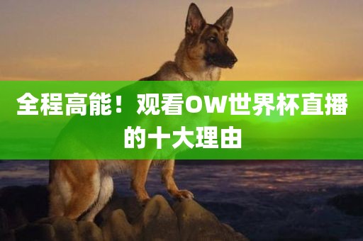 全程高能！观看OW世界杯直播的十大理由