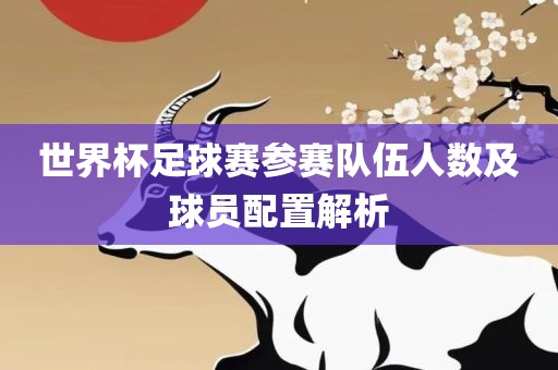 世界杯足球赛参赛队伍人数及球员配置解析