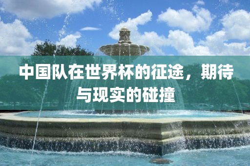 中国队在世界杯的征途，期待与现实的碰撞