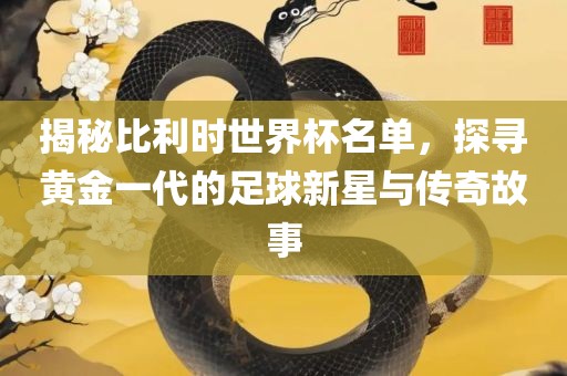 揭秘比利时世界杯名单，探寻黄金一代的足球新星与传奇故事洪湖市顺升工程机械租赁有限公司