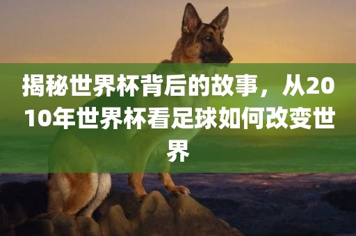 揭秘世界杯背后的故洪湖市顺升工程机械租赁有限公司事，从2010年世界杯看足球如何改变世界