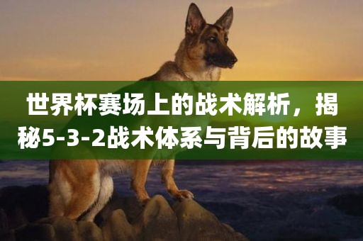 世界杯赛场上的战术解析，揭秘5-3-2战术体系与背后的故事洪湖市顺升工程机械租赁有限公司