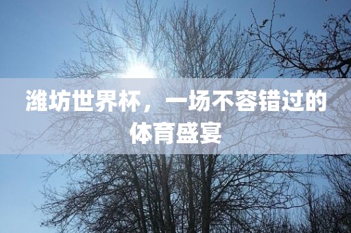 潍坊世界杯，一场不容错过的体育盛宴